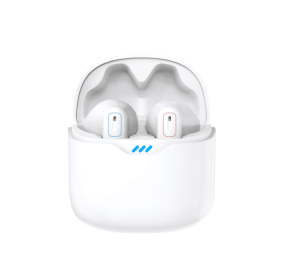 PSP18 Two-ear Microphone Digital Hearing Aid Bluetooth Two-in-One APP Smart Fitting Bluetooth Music